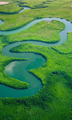 Gambia A slice of African beach life with jungles to explore