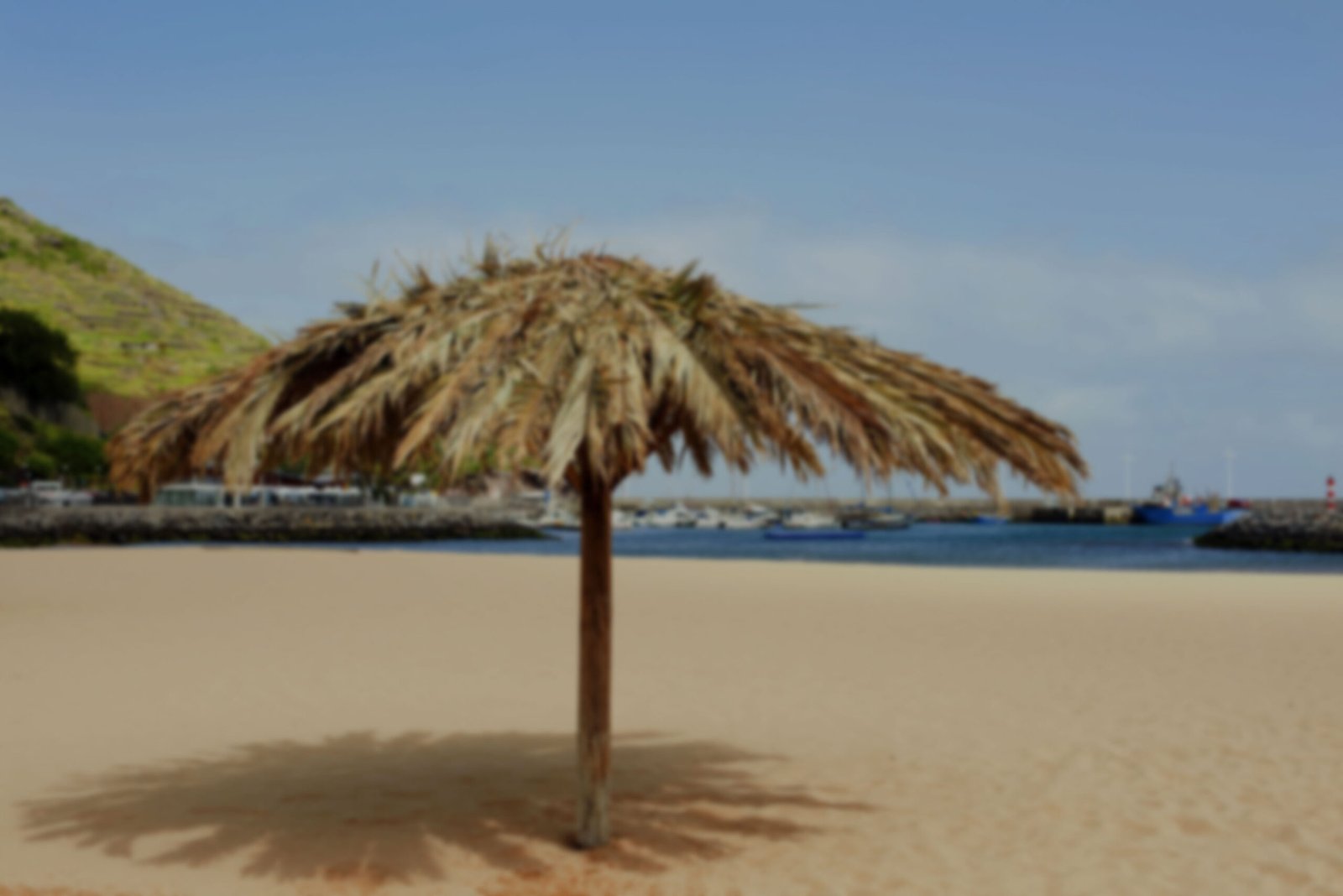 Spain-Madeira-Beach-parasol-FW-min