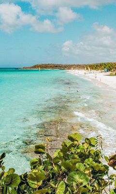 Cuba Nights spent salsa dancing, palm-fringed beaches and vintage ...