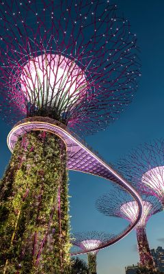 Singapore Futuristic sights, botanical gardens and streets lined with food ...