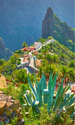 Tenerife, Lively resorts, vibrant cities and year-round sports facilities