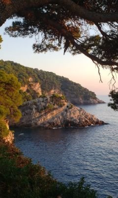 dalmatiancoast5