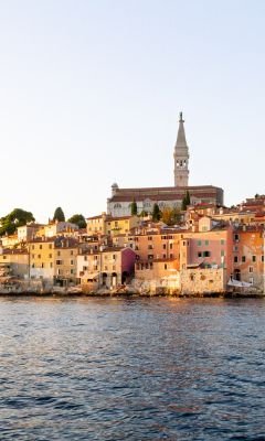 dimitry-anikin-yIe9Gf8fj0U-unsplash